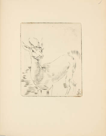 A rézmetszet (számozott példány)