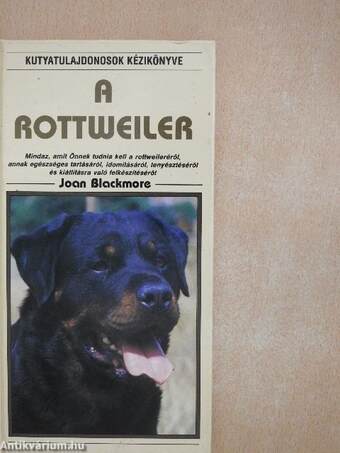 A rottweiler