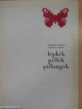 Lepkék, pillék, pillangók