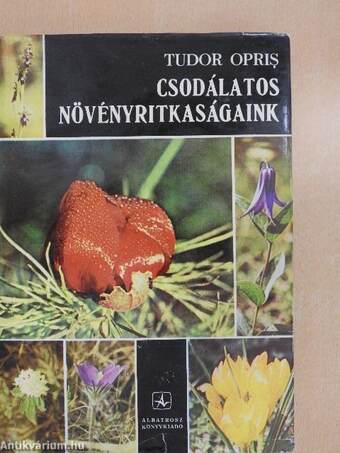 Csodálatos növényritkaságaink