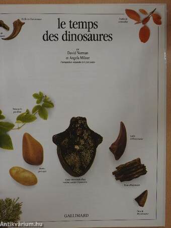 Le temps des dinosaures