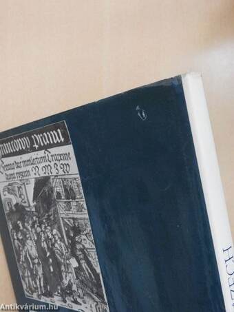 Plzensky prazdroj v obrazech