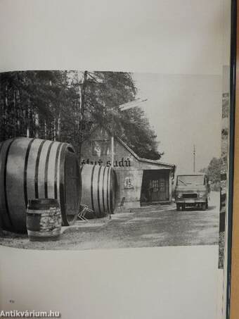 Plzensky prazdroj v obrazech