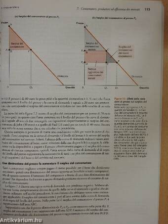 L'essenziale di Economia