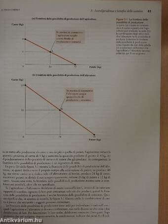 L'essenziale di Economia