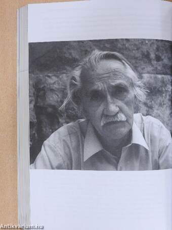 Magyar, európai, modern