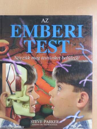 Az emberi test