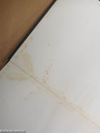 A világtörténet alapvonalai