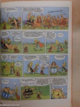 Asterix és a normannok