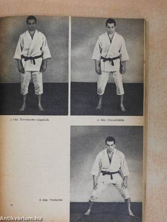 Judo