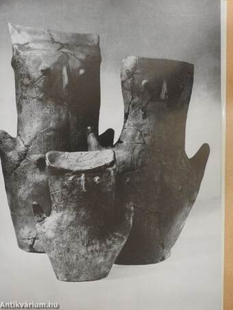 Die Museen von Budapest