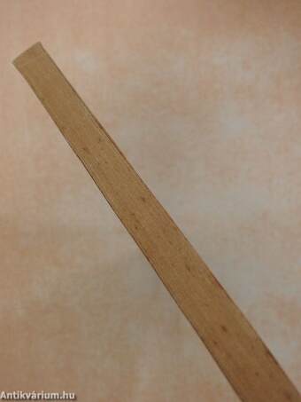 Francia középfokú tananyag