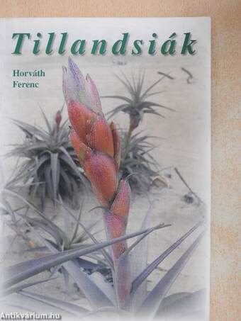 Tillandsiák