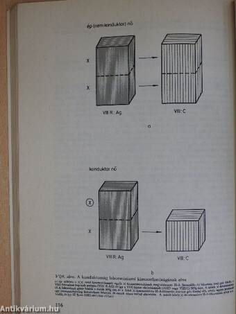 Az orvostudomány aktuális problémái 52.