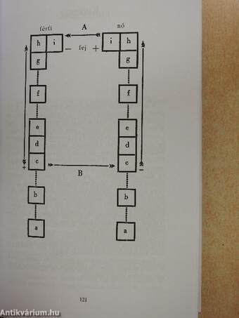 A szerelmi mágia nagykönyve