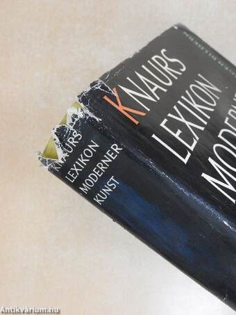 Knaurs Lexikon Moderner Kunst