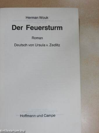 Der Feuersturm