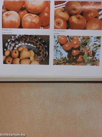 Élelmiszerismeret 1-2.