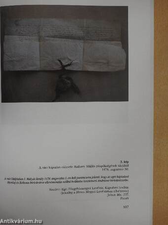 Báthory Miklós váci püspök (1474-1506) emlékezete