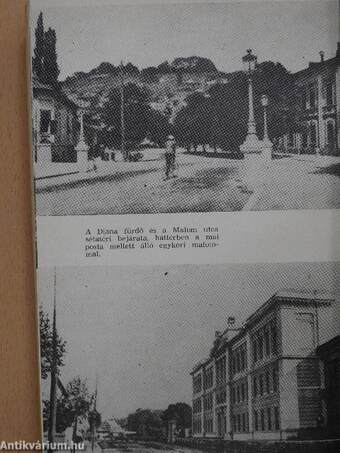 Sáncalja