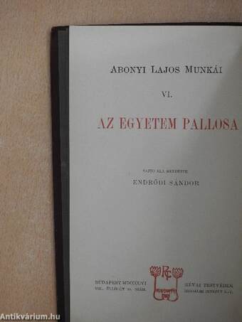 Az egyetem pallosa