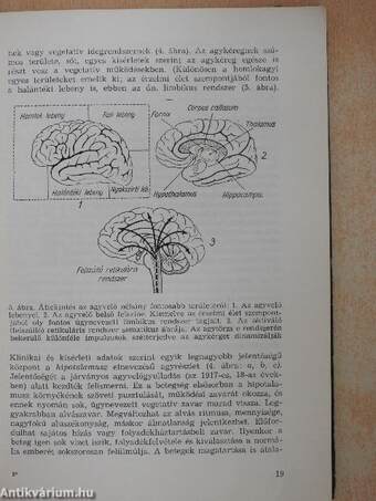 Lelki élet, lelki bajok