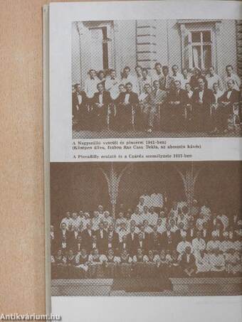 Egy szobapincér elbeszélései