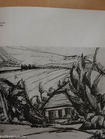 Tihanyi Lajos emlékkiállítása