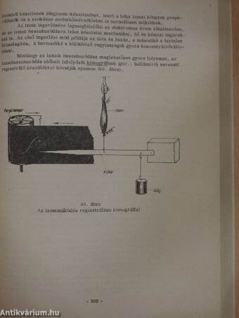 Általános és összehasonlító állatélettan II.