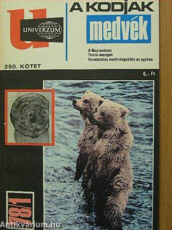 A Kodjak medvék