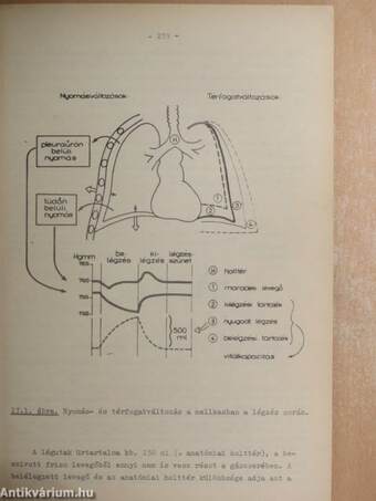 Alkalmazott élettan és kórélettan II. (töredék)