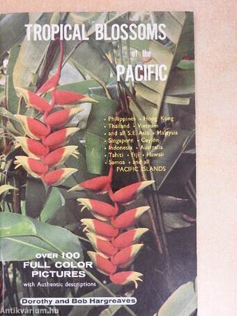 Tropical Blossoms of the Pacific