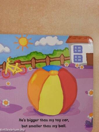 How big is my... Dragon