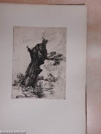 Rembrandt Rézkarcok