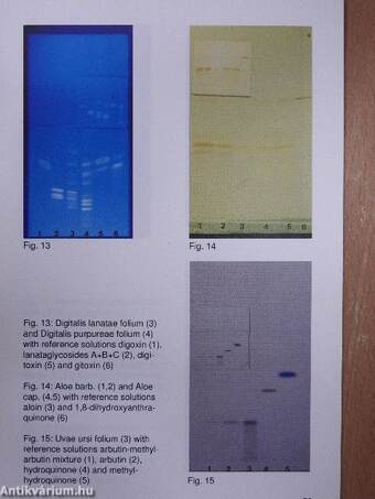 Concise practical book of thin-layer chromatography