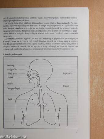 Érettségi témakörök, tételek - Magyar nyelv