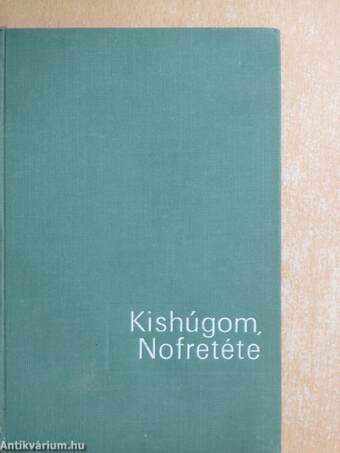 Kishúgom, Nofretéte