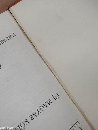 Új magyar költők I.