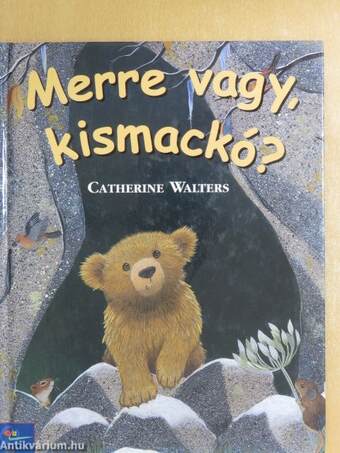 Merre vagy, kismackó?