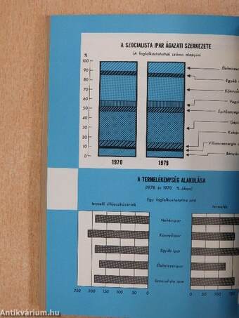 Magyar statisztikai zsebkönyv 1980.