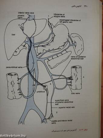 Clinical Anatomy by Regions