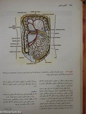 Clinical Anatomy by Regions