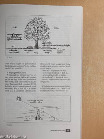 Lakás és egészség