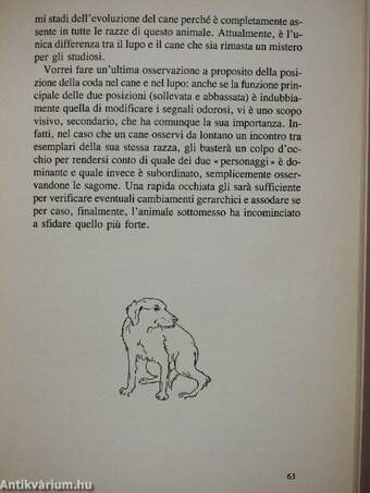 Il cane