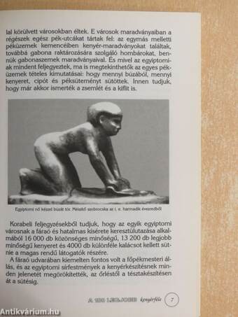 A 100 legjobb kenyérféle