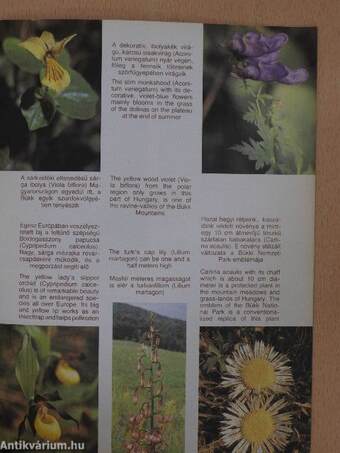 A Bükki Nemzeti Park