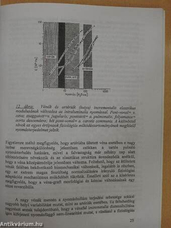 A vénás rendszer élettana