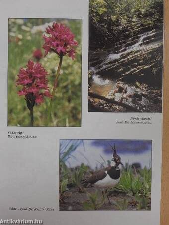 Duna-Dráva Nemzeti Park