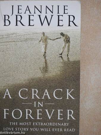 A Crack in Forever