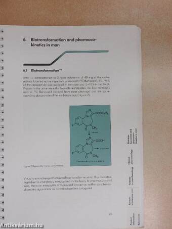 Anexate flumazenil